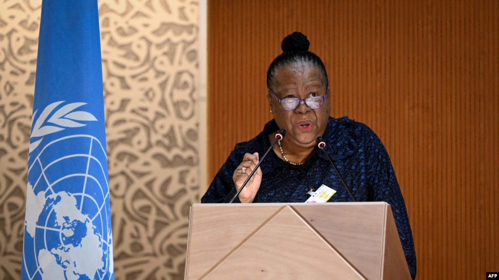 দক্ষিণ আফ্রিকার পররাষ্ট্রমন্ত্রী বলেছেন ইসরাইল 'বর্ণবাদ প্রয়োগ করছে'