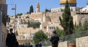 d9163113 d169 46a6 bcff 7b79f47138a8