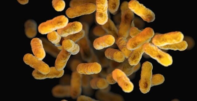 অতিরিক্ত কাশি